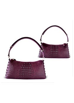 Accessories 08